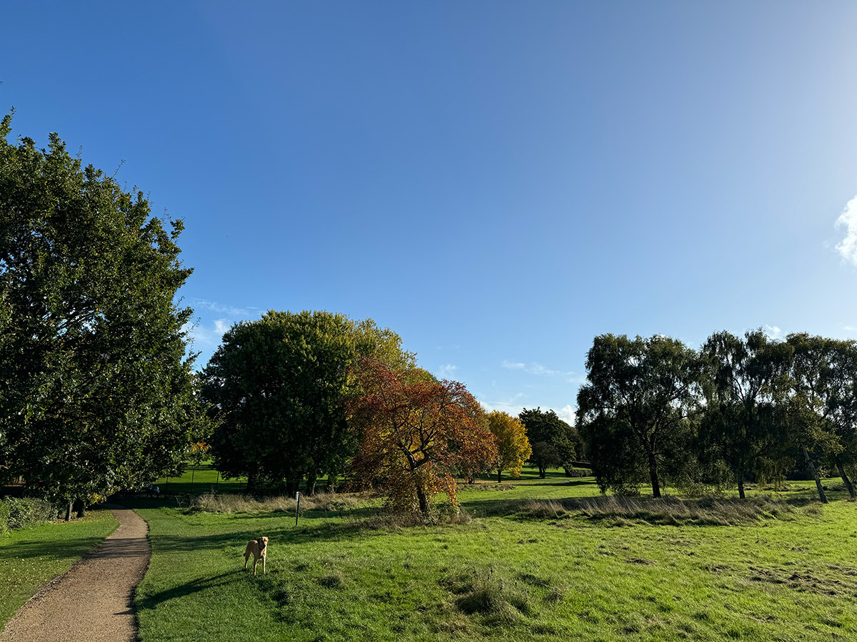 Dog Walks: Bantock Park In Wolverhampton