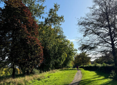 Best Dog Walks: Bantock Park In Wolverhampton - Amber Lupo