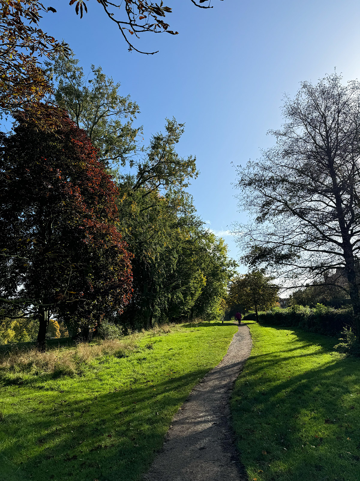 Best Dog Walks: Bantock Park In Wolverhampton - Amber Lupo