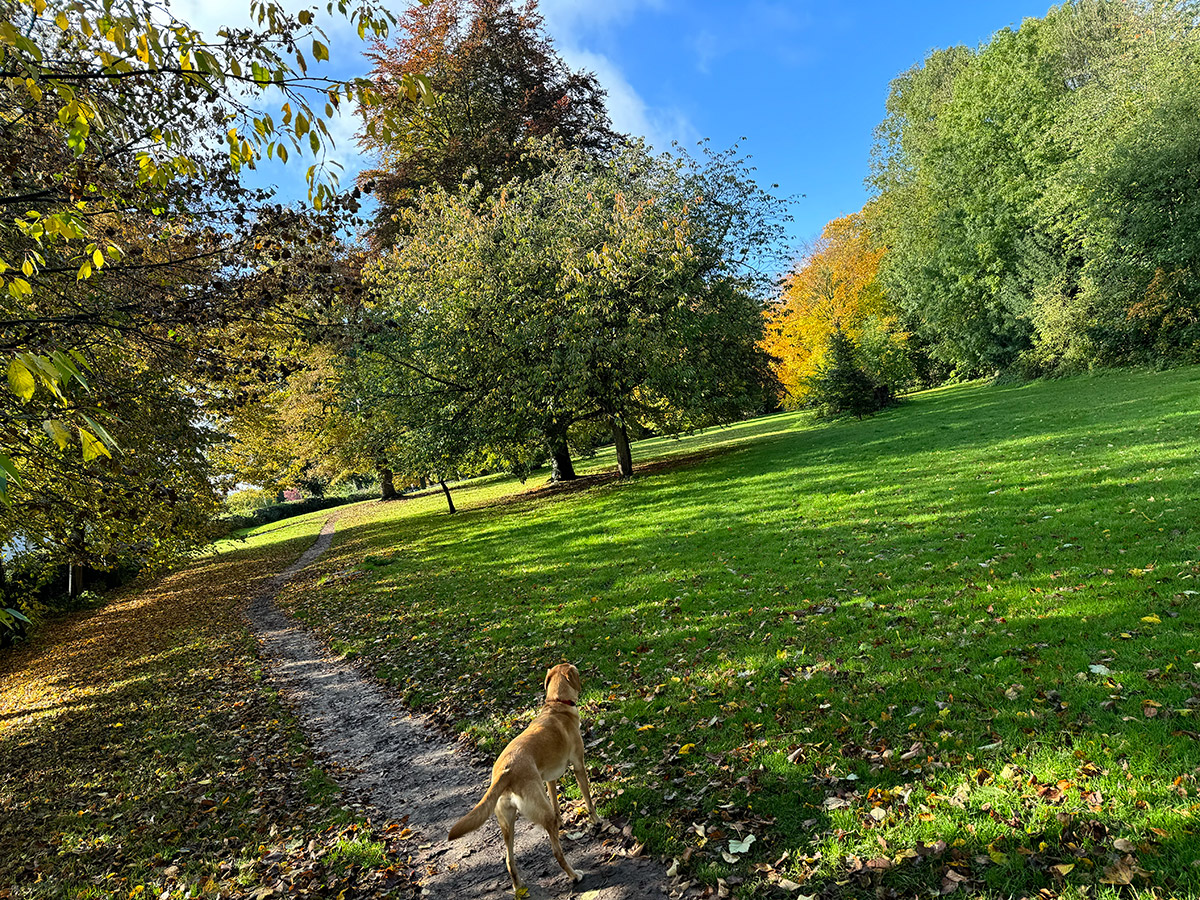 Dog Walks: Bantock Park In Wolverhampton