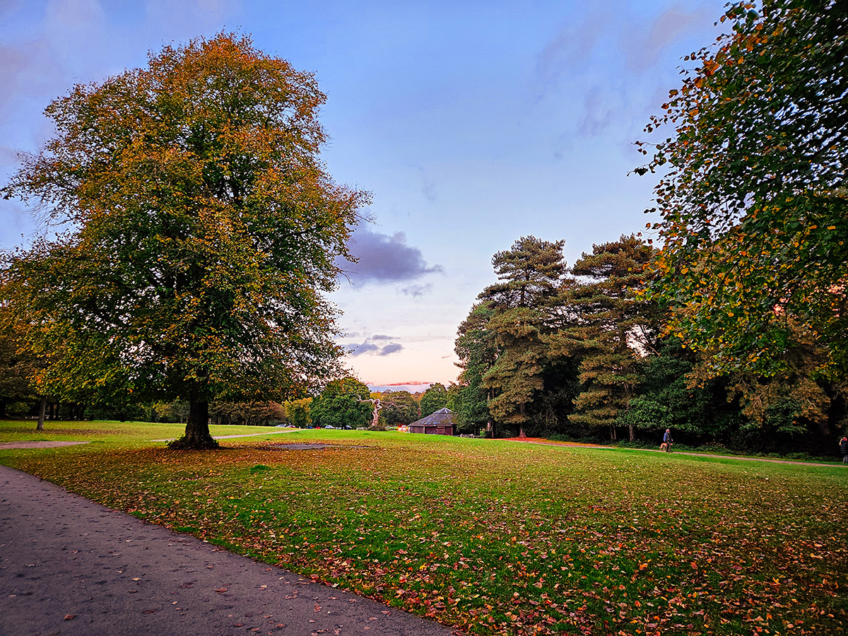 Best Dog Walks: Sutton Park In Sutton Coldfield