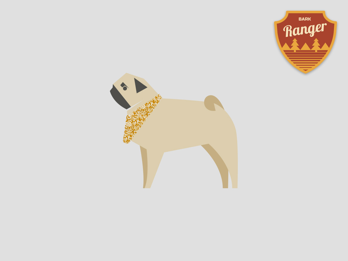 Pug – The Laid-Back Sunshine Seeker | Dog Bandana For Pug & Adventure Badge | Amber Lupo