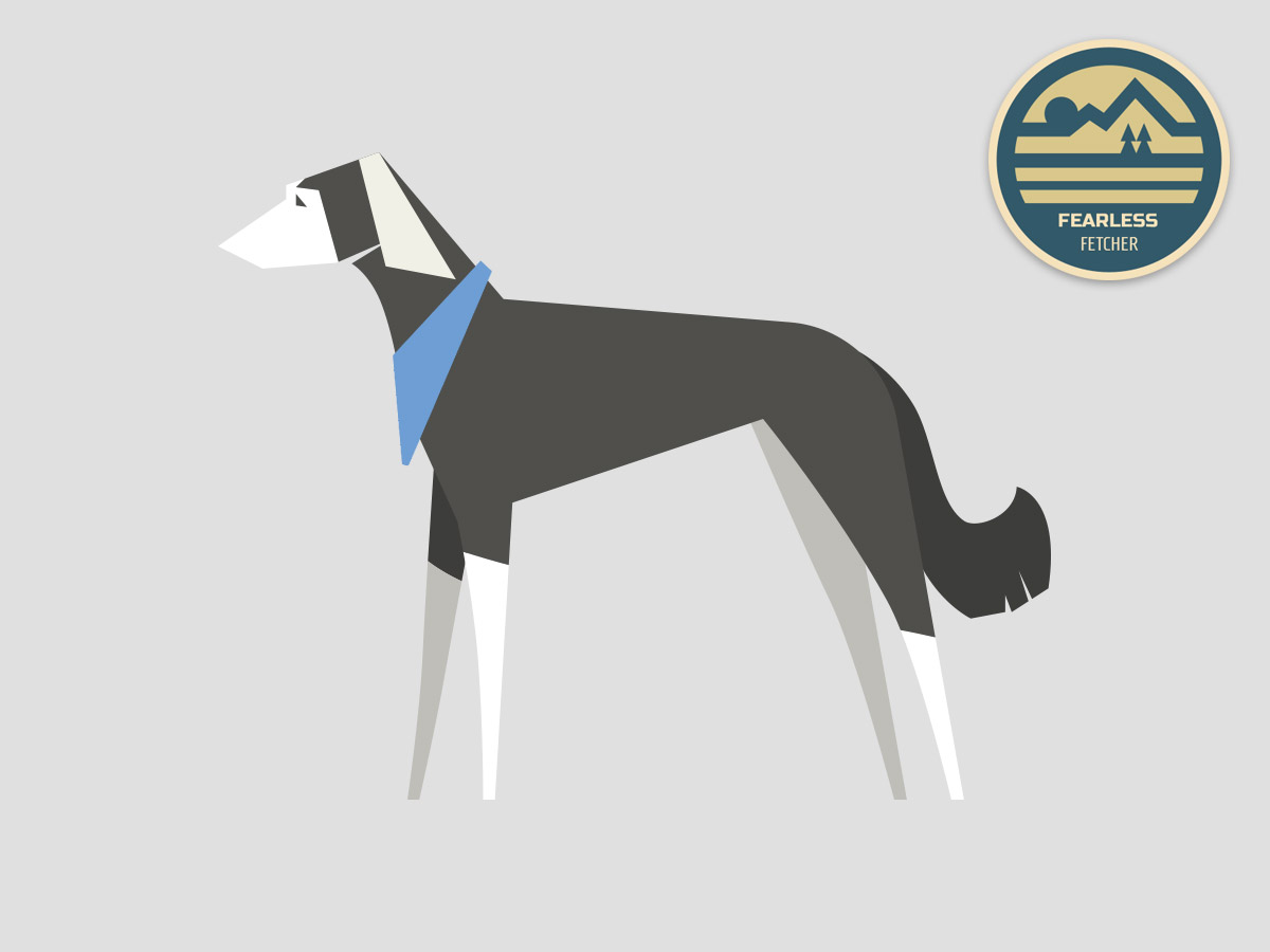 Saluki – The Elegant Speedster | Dog Bandana For Saluki & Adventure Badge | Amber Lupo