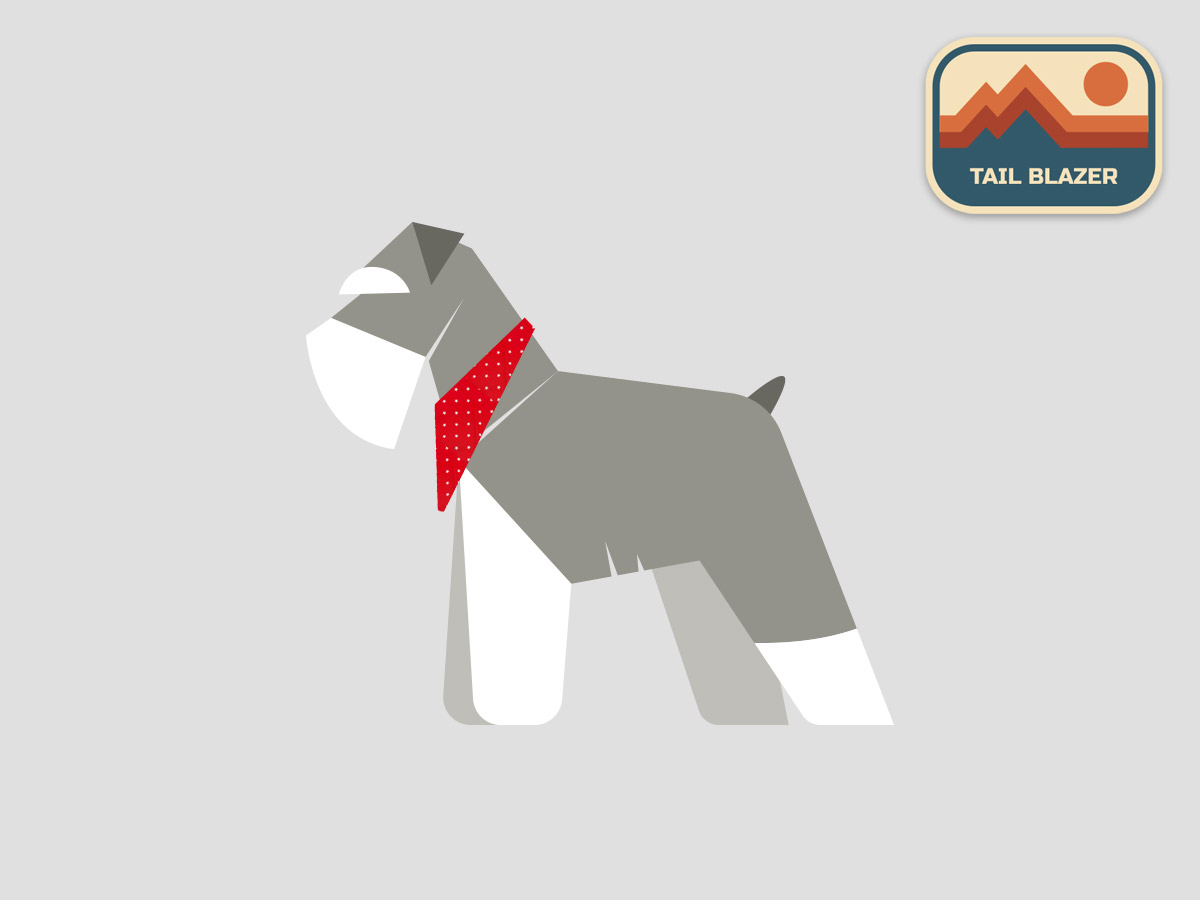 Schnauzer – The Bold Trailblazer | Dog Bandana For Schnauzer & Adventure Badge | Amber Lupo