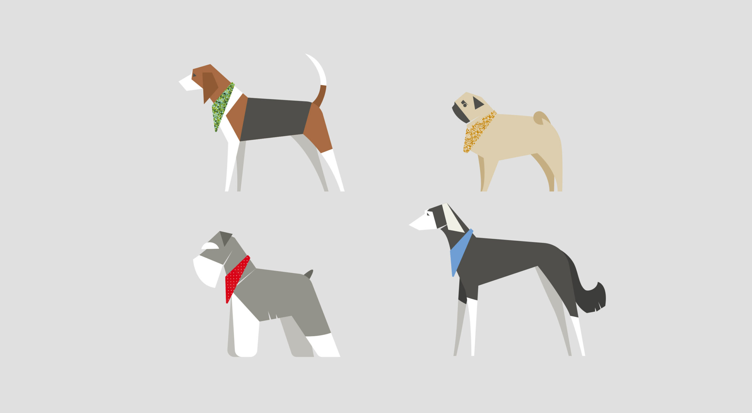 Dog Breeds: Bandanas For Beagles, Schnauzers, Pugs & Salukis - Amber Lupo